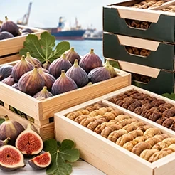 انواع انجیر خشک و تفاوت آن‌ها؛ کدام انجیر برای شما مناسب‌تر است؟